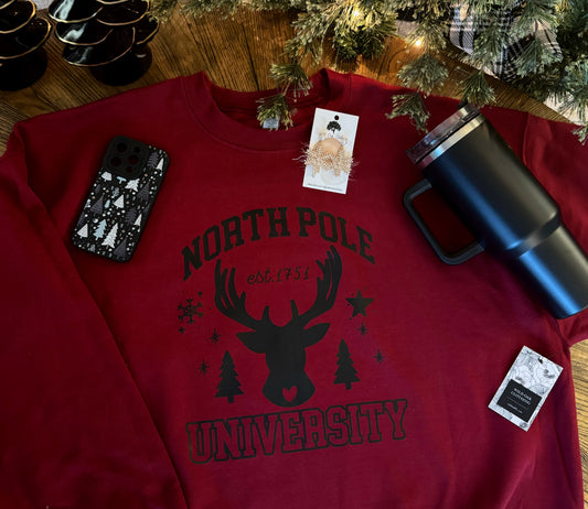 North Pole University Pullover