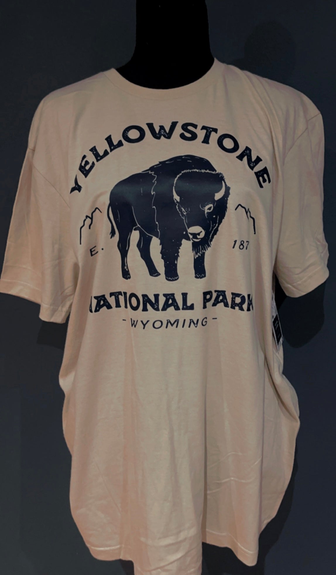 Yellowstone Tee and Hoodies